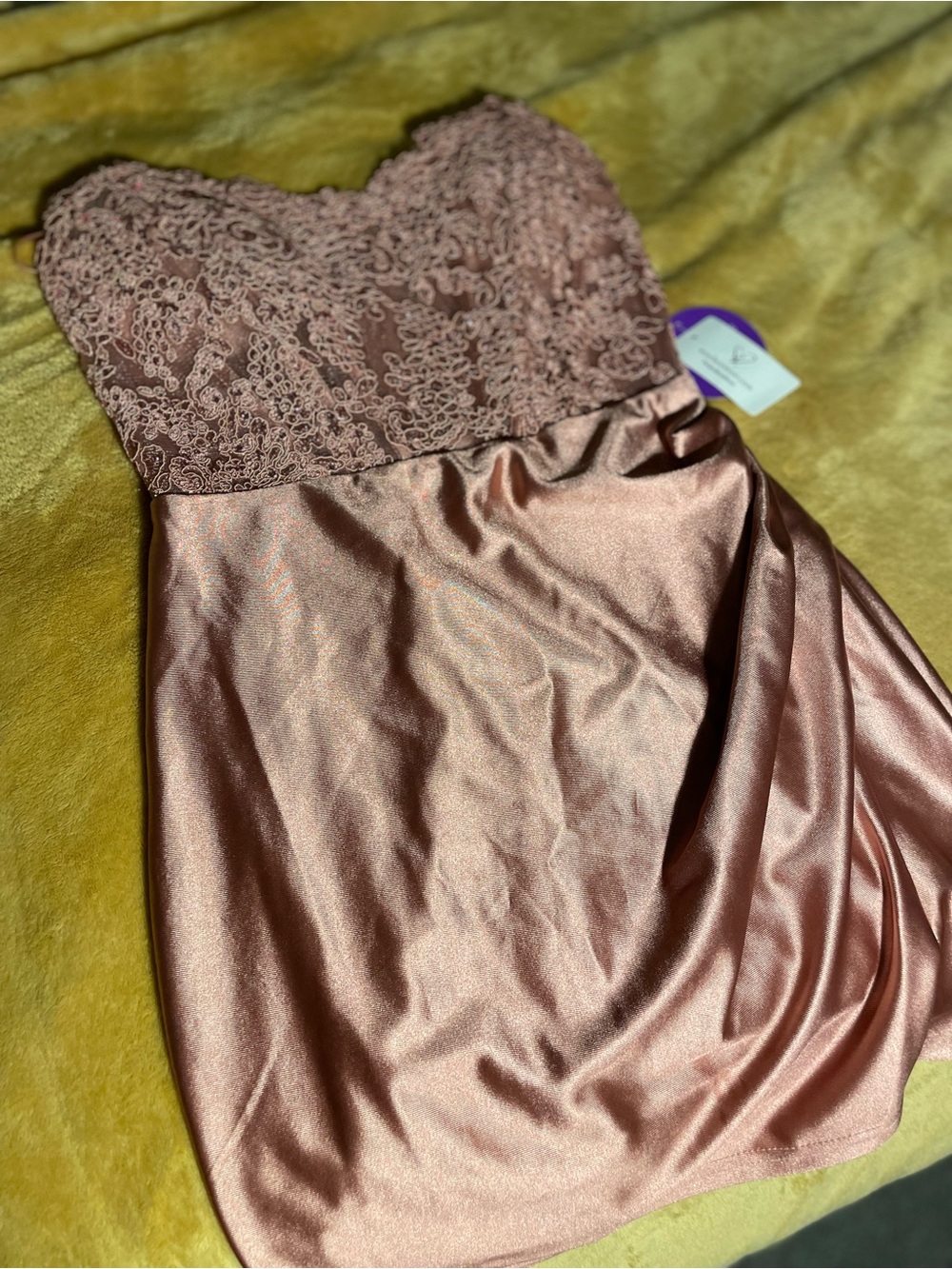 Windsor Dusty Rose Lace & Satin Party Dress NWT